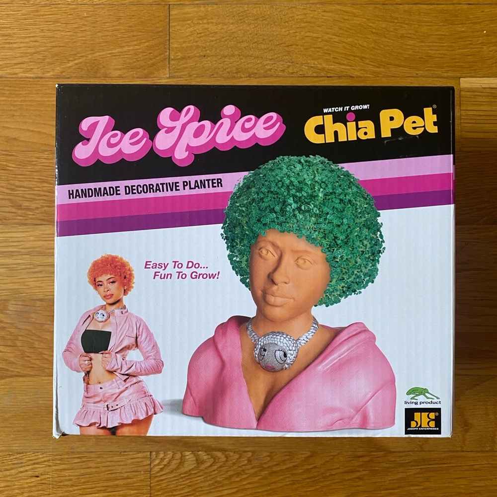 Ice Spice Chia Pet